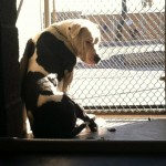 421247_10150646299573968_611463967_11091788_1452071933_n