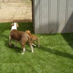 Keira and Erin