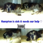 Hampton