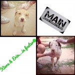 Keira and Erin, Mother and Daughter with Mange-update