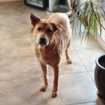 Reilly, all better!