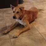 Reilly, healed!