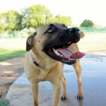 Riley, happy girl!