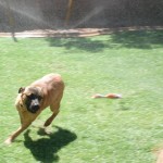 Riley having fun