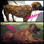 Riley, then & now!