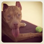 Romeo!