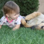 Rosie's foster family
