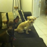 Tootsie & Minnie!