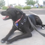 Ebony, adopted!