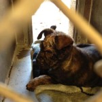 Khloe at county