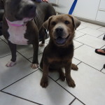 Happy girl!