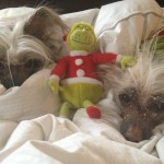 Lily (left) and sibling