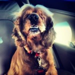 Happy and handsome