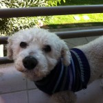 Curly looking all cute!!