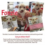 Fonzie - FB