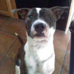 Monty2