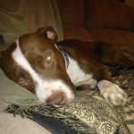 Mya, home!