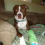 Mya recovering