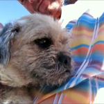 Paddy3