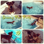 Sienna's fun in the sun