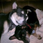 Spike and his sister!