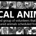 banner4.jpg