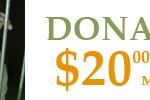 donate20