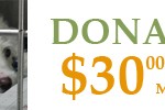donate30