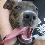 Tongue shot!