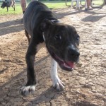 Happy boy!