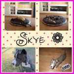 skye1