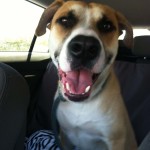 Mikey, happy to be rescued!