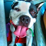 Petunia!