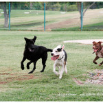 Abby & pal, Toby!