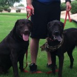 Abby Has Been Adopted!