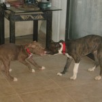 Angel and foster brother, Gunther