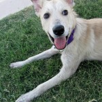 Cooper!
