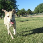 Happy boy!