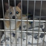 Waiting to be rescued