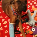 Happy with her toys