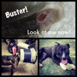 Buster