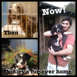 Dudley