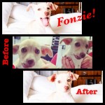 Fonzie