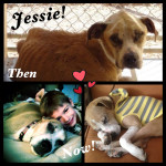 Jessie, then & now
