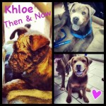 Khloe