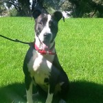 Kiya, all grown up!