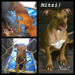 Mitzi