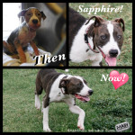 Sapphire, then & now
