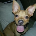 Andre Has Been Adopted!