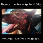 Bijoux, SAFE!